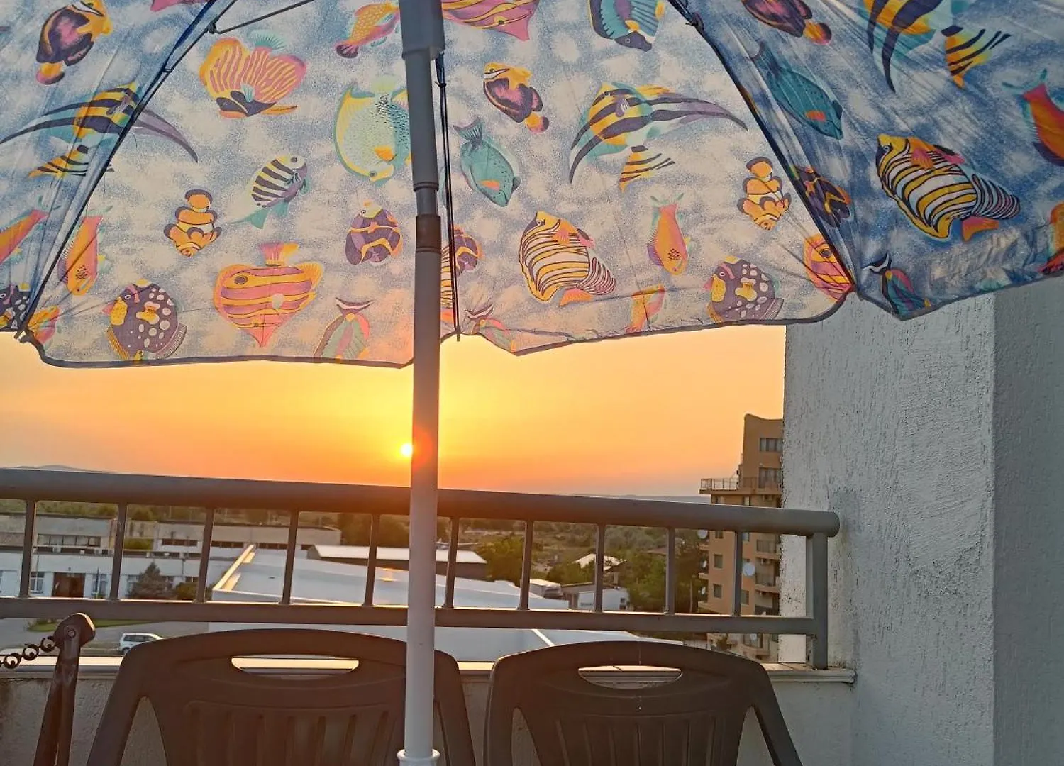 Rose Residence Sunny Beach 0*,